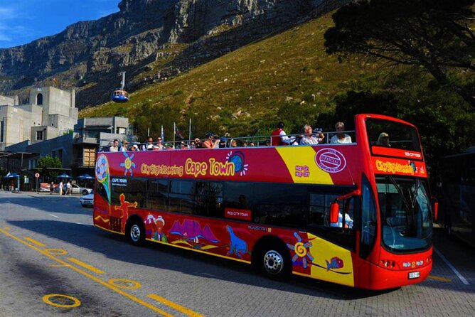 Airport Shuttle to and from Cape Town Airport - What the driver can add to your first hours in Cape Town