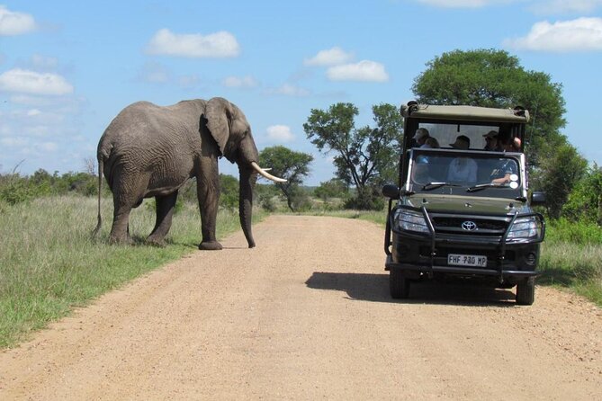 All Inclusive 2 Day Kruger Safari from Johannesburg - Dinner beneath the African night sky