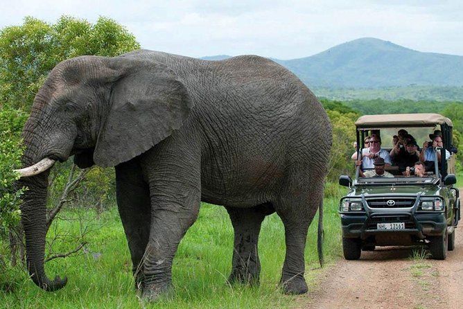 All Inclusive 3 Day Kruger Safari Adventure From Johannesburg - Day two: dawn wildlife and the Crocodile River