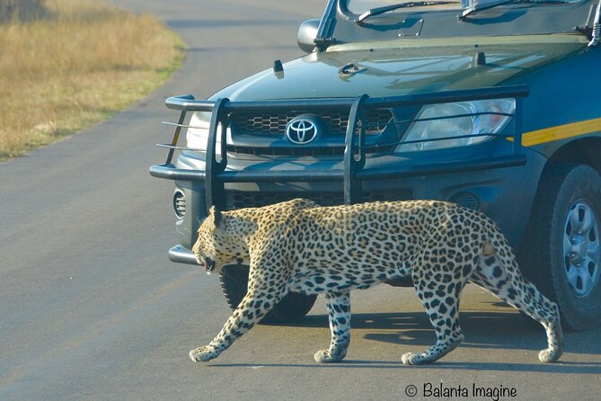 All Inclusive 3 Day Kruger Safari Adventure From Johannesburg - The accommodation question you should settle early