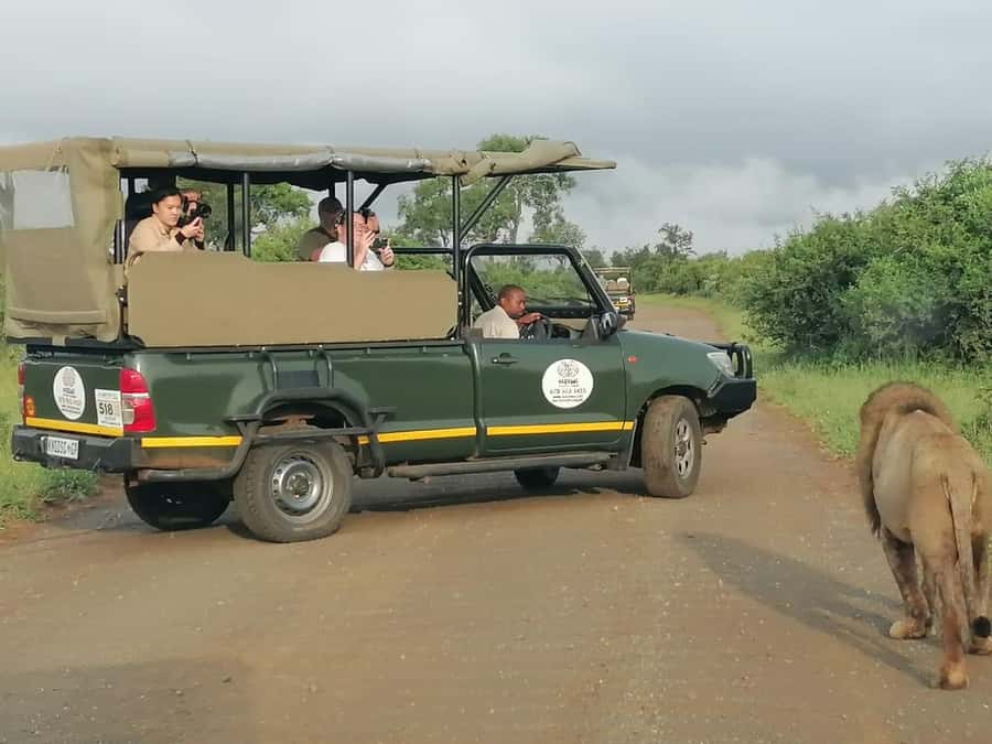 All Inclusive 3 Day Kruger Safari from Nelspruit - Key points before you book