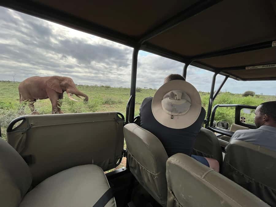 All Inclusive 3 Day Kruger Safari from Nelspruit - What two lodge nights add to a Kruger safari