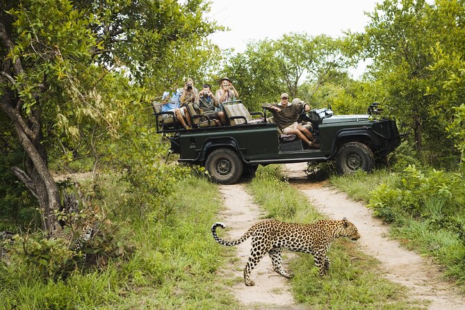 All inclusive BIG 5 Kruger 2 Day Safari from Johannesburg - The safari in five useful points