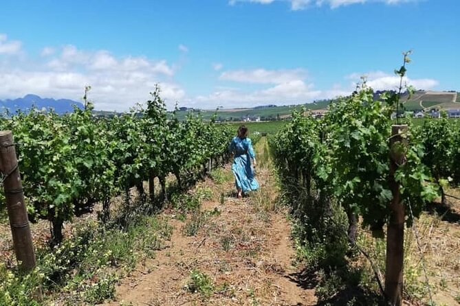 All-inclusive Private Wine Tour in Stellenbosch Cape Winelands - Dornier Wine Estate adds scenery and a light lunch