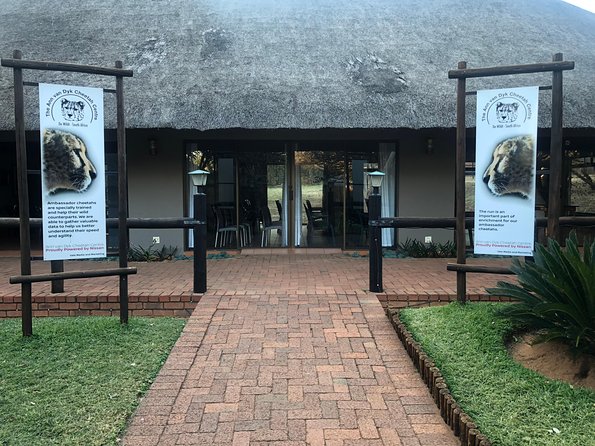 Ann Van Dyk Cheetah Centre Tour from Johannesburg or Pretoria - Key points to know before you book