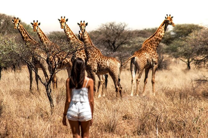 Aquila Game Reserve Safari with wine tasting, Transport & Lunch - Who will enjoy this Cape Town safari most