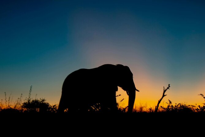 Aquila Game Reserve Sunset Safari - Aquila Sunset Safari: Key Points at a Glance