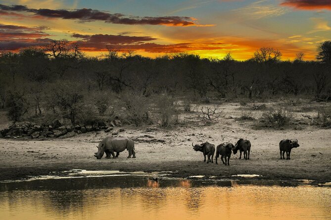 Aquila Game Reserve Sunset Safari - Arriving at Aquila Private Game Reserve