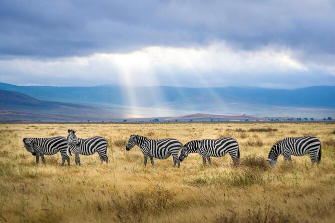 Aquila Game Reserve Sunset Safari - The Big Five and What You Can Realistically Expect