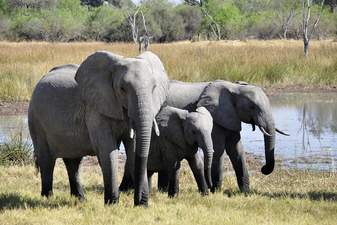 Aquila Game Reserve Sunset Safari - Practical Timing, Cancellation, and Who Will Enjoy It
