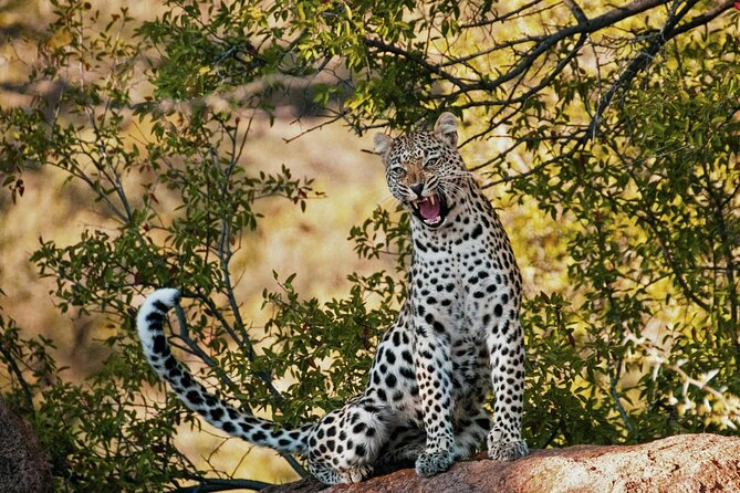 Aquila Game Reserve Sunset Safari - Worcester and the Change Toward Karoo Country
