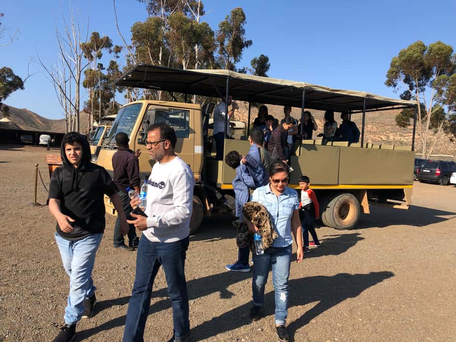 Aquila Reserve: Private Day Tour with Shared Game Drive - Who will enjoy this day most?