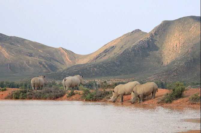 Aquilla BIG5 private Safari Cape Town - What the 4x4 safari drive is really like