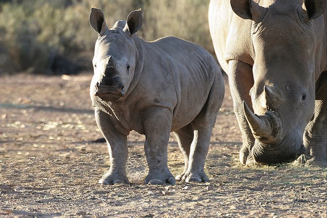 Aquilla BIG5 private Safari Cape Town - Conservation and the local Touws River connection