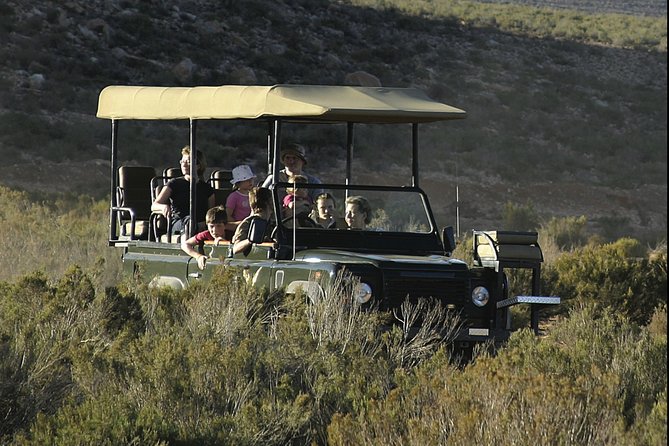 Aquilla BIG5 private Safari Cape Town - Who will get the most from this day