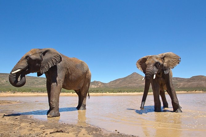 Aquilla BIG5 private Safari Cape Town - Reaching Touws River around noon
