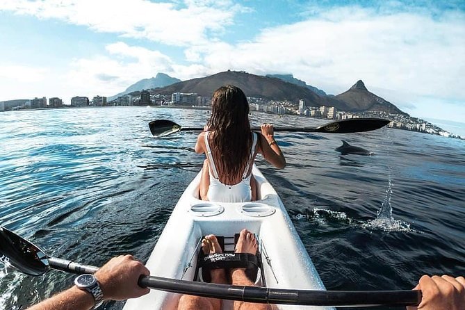 Atlantic Outlook Kayak Tour Cape Town - Weather, swells, and the need for flexibility