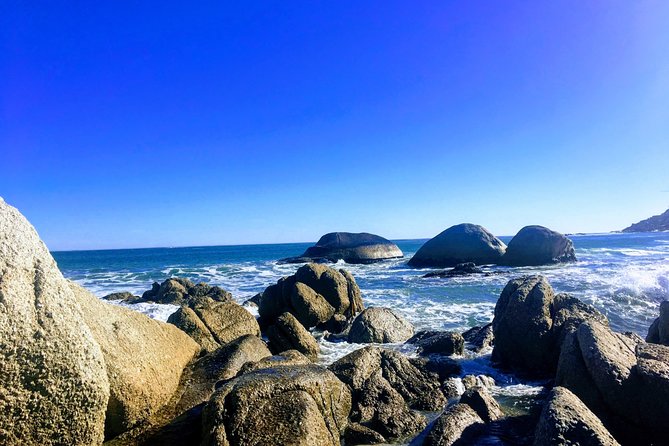 Authentic Cape Town Tour - Food, markets, beaches, and local color