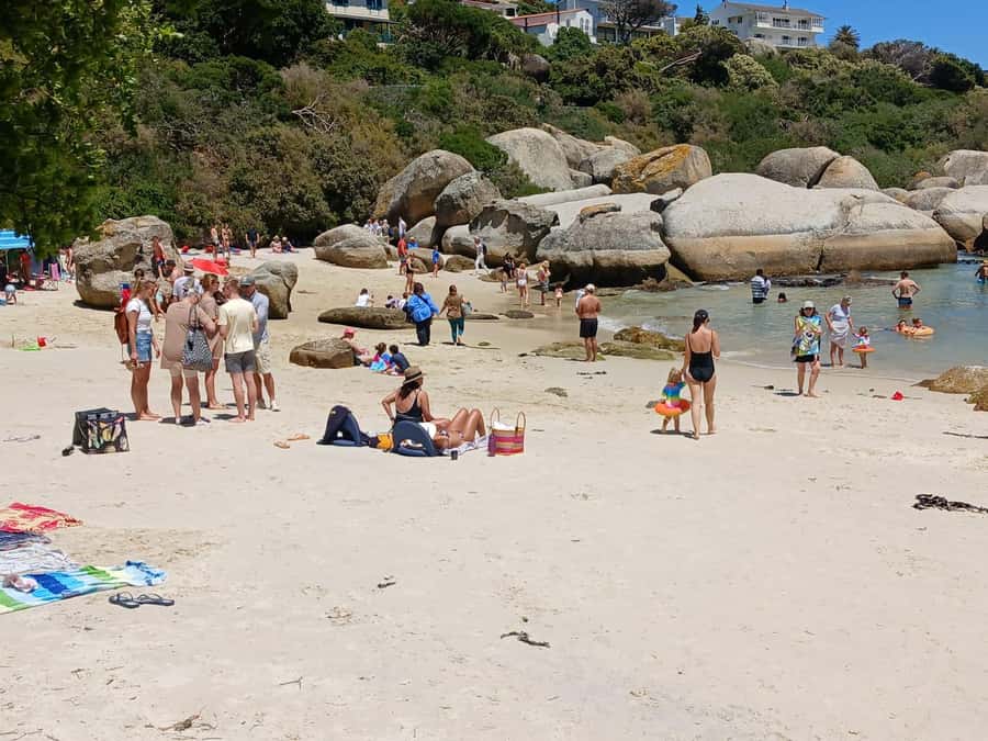 Beach Day at Boulder's Beach & Penguin watching, Half Day - Who should book this beach and penguin tour?