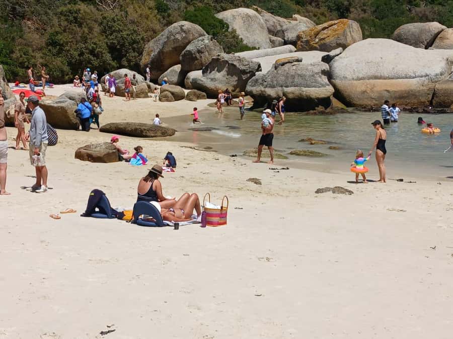 Beach Day at Boulder's Beach & Penguin watching, Half Day - What this half-day Cape Peninsula trip is really for