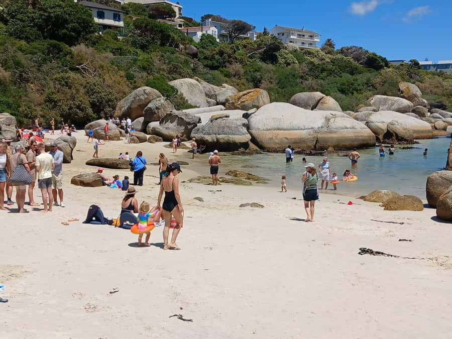 Beach Day at Boulder's Beach & Penguin watching, Half Day - Chapman’s Peak turns the road into the attraction