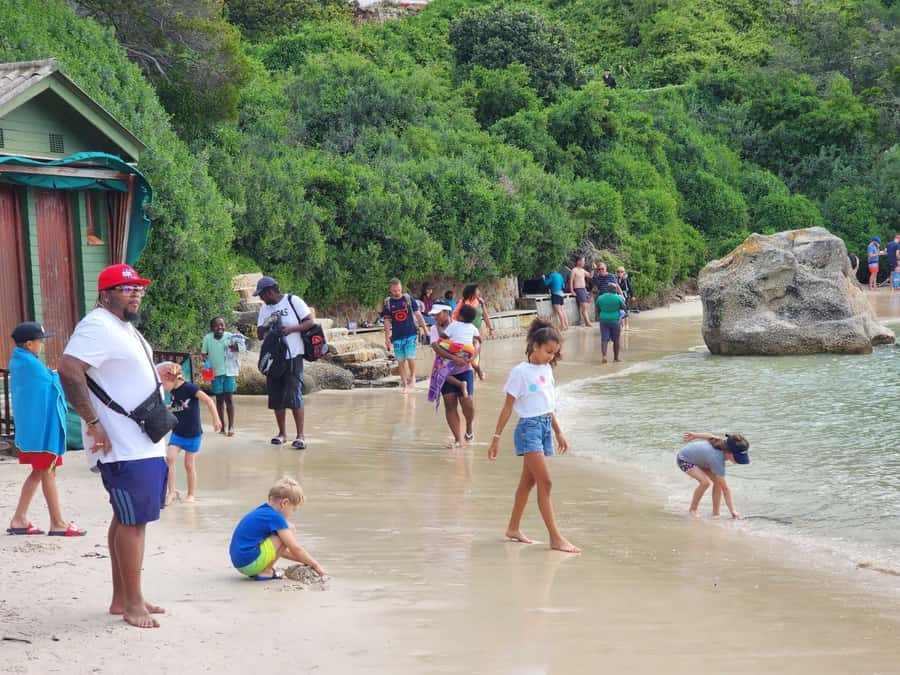 Beach Day at Boulder's Beach & Penguin watching, Half Day - Boulders Beach is the reason to book