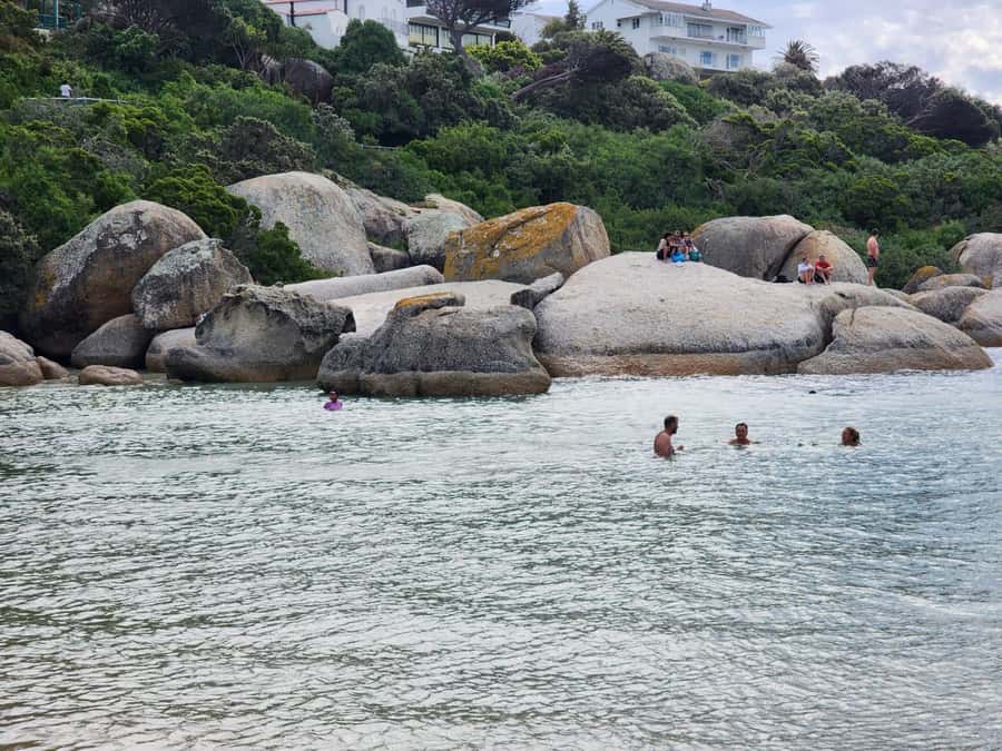 Beach Day at Boulder's Beach & Penguin watching, Half Day - Muizenberg adds a quick final photo stop