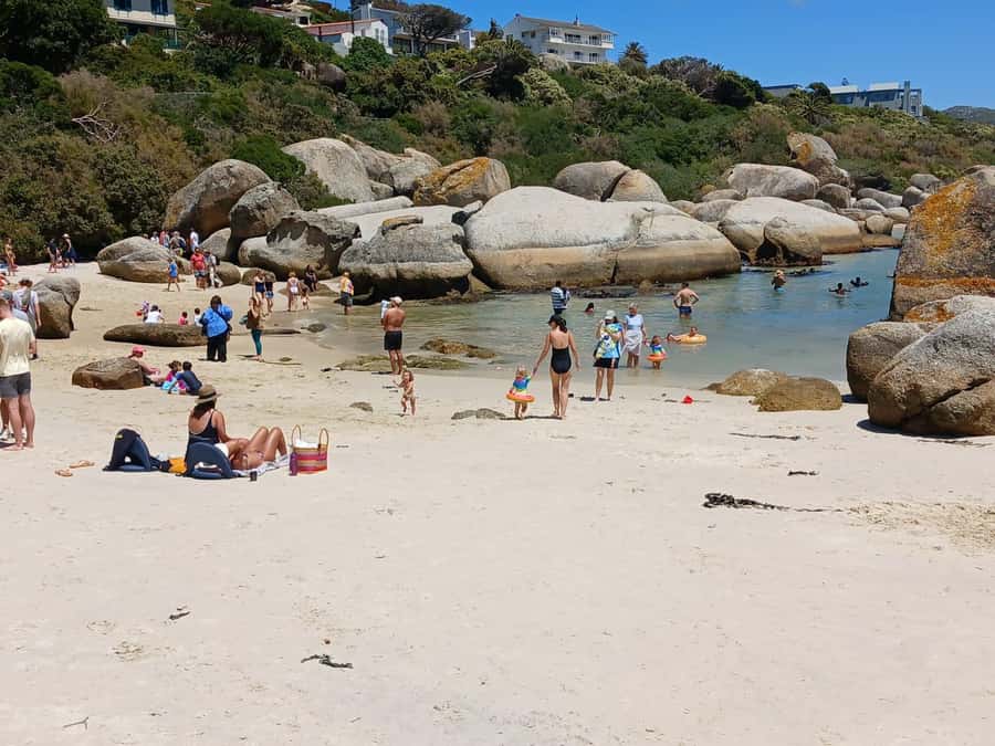 Beach Day at Boulder's Beach & Penguin watching, Half Day - Guides can shape the whole experience