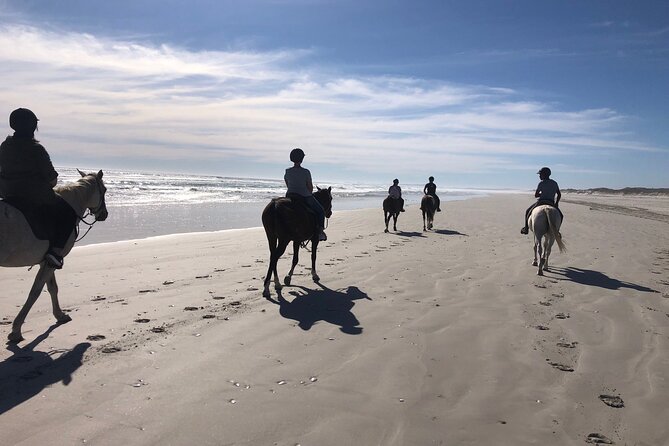 Beach Horse Ride in Yzerfontein, Western Cape - What makes this ride special