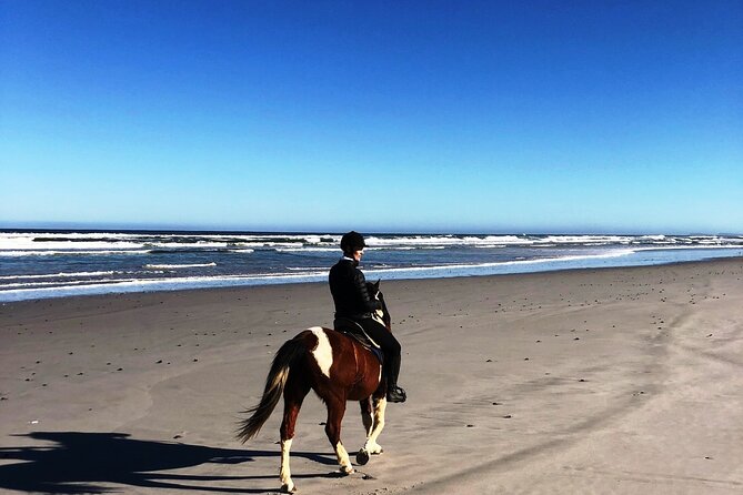 Beach Horse Ride in Yzerfontein, Western Cape - The horses and the first moments at the ranch