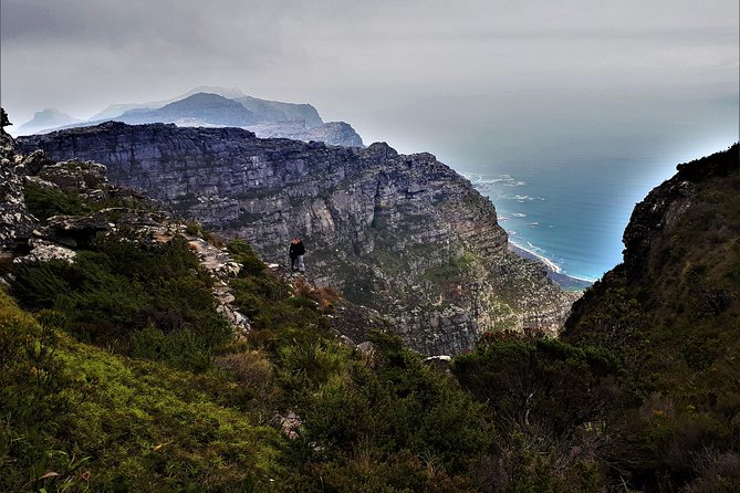 Beautiful Table Mountain Hike - India Venster Is the Alternative