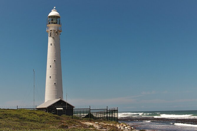 Best of Cape Town Cape Point and Wineries Combined Private Tour - Cape Point Nature Reserve and the Cape of Good Hope