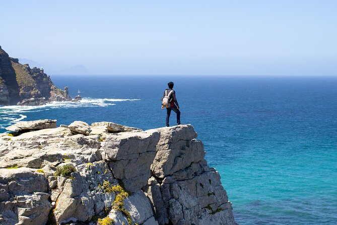 Best of Cape Town Cape Point and Wineries Combined Private Tour - Muizenberg Beach and its colorful huts