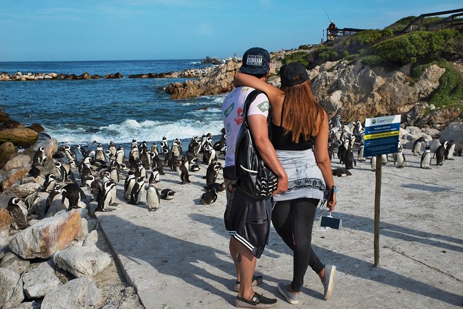 Best of Cape Town Full-Day Private Tour with Table Mountain - Cape Point Vineyards and the wine decision