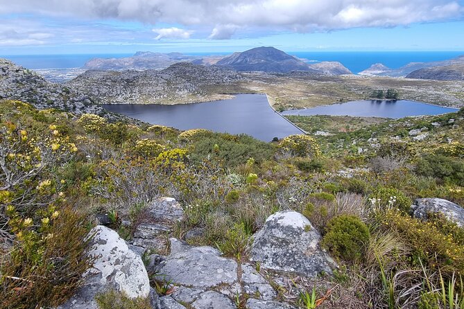 BEST of Table Mountain! Exhilarating Full-day Guided Hike - Fynbos, old trees, and the famous photo rock