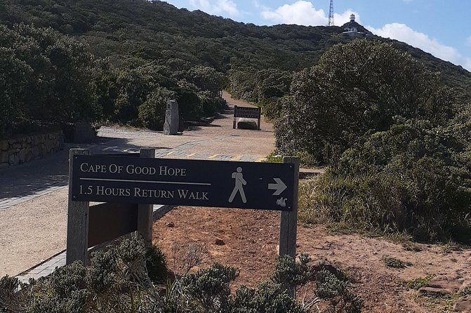 Best Of The Cape 8 Hour Private Tour - Simon’s Town lunch stop and Boulders Beach penguins