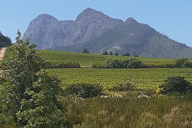 Best Of The Cape 8 Hour Private Tour - False Bay and the long return toward Stellenbosch