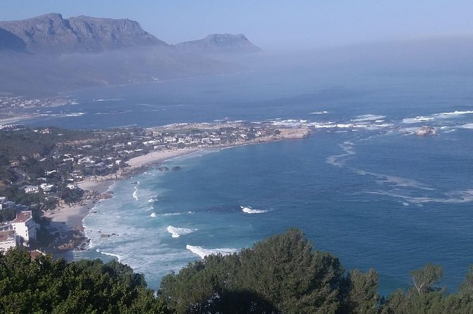 Best Of The Cape 8 Hour Private Tour - Hout Bay and the optional trip to Seal Island