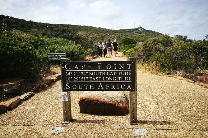 Best of the Cape Full Day Private Tour - Boulders Beach and the African penguins