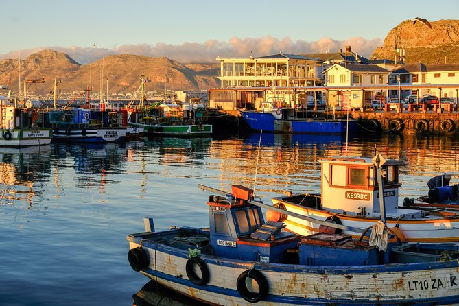 Best of the Cape Peninsula Private Tour - Cape Point: lighthouses, trails, and changing weather