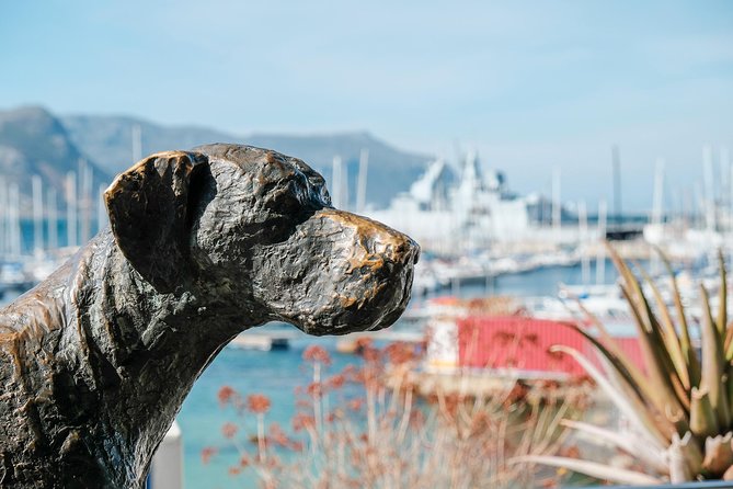 Best of the Cape Peninsula Private Tour - What the $103.89 price really buys you