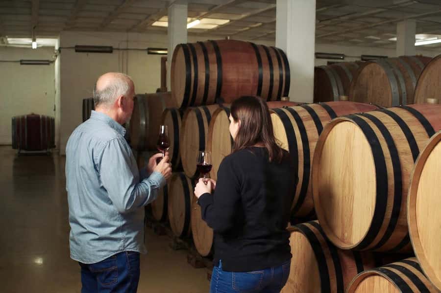 Best of the Cape Peninsula & Wine Route with Wine Tasting - Stellenbosch: a change from sea air to wine country