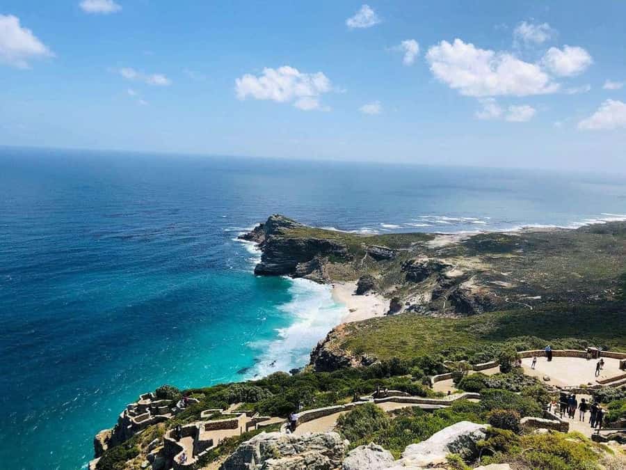 Best of the Cape Peninsula & Wine Route with Wine Tasting - Guides, languages, and the human side of the day