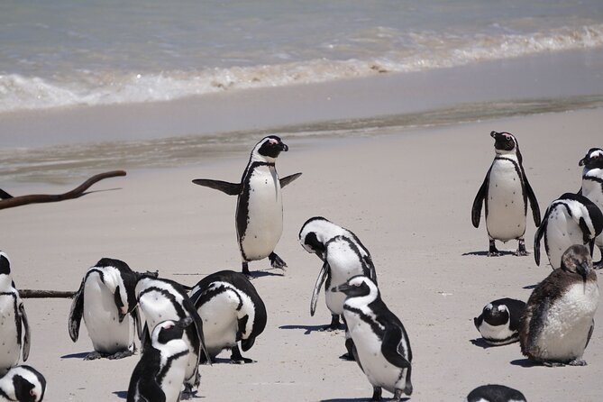 Best of the Cape Private full day tour - Bo-Kaap and Table Mountain set the tone