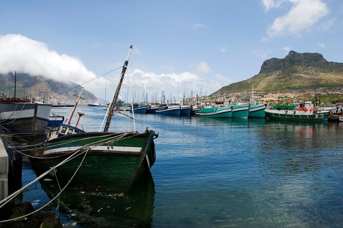 Best of the Cape Private full day tour - Cape of Good Hope and Cape Point