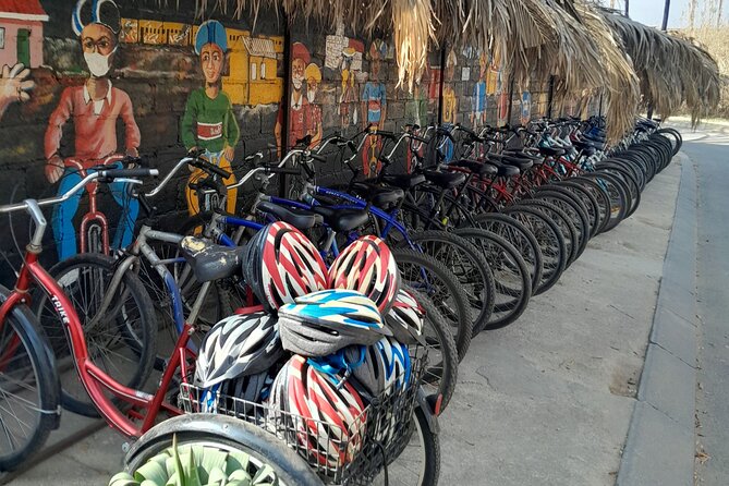 Bicycle or Tuk Tuk Soweto Guided Experience - Vilakazi Street, music, and handmade goods