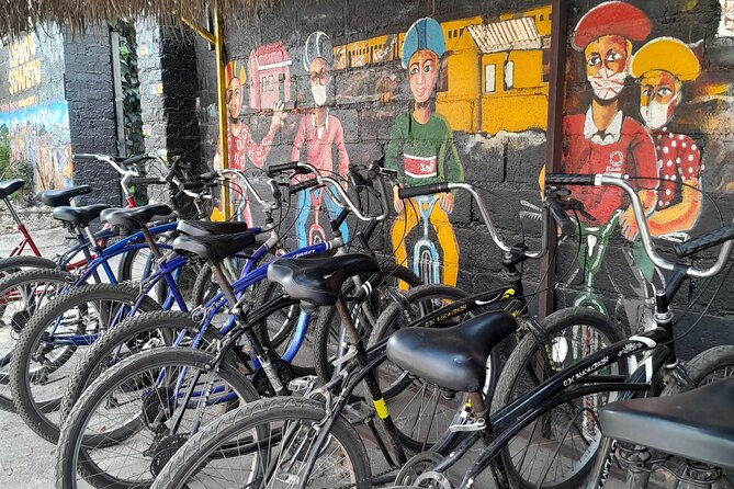 Bicycle or Tuk Tuk Soweto Guided Experience - Mandela House and the story behind the address