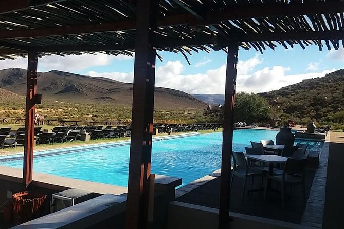 Big 5 Full Day Safari Aquila Lunch plus Breakfast From Cape Town - Price, group size, and overall value