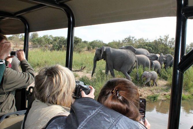 BIG 5 Kruger 3 Days Safari from Johannesburg - Key points to know before booking