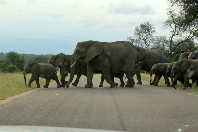 BIG 5 Kruger 3 Days Safari from Johannesburg - Who will enjoy this three-day safari most